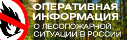 Оперативная информация о лесопожарной ситуации в России